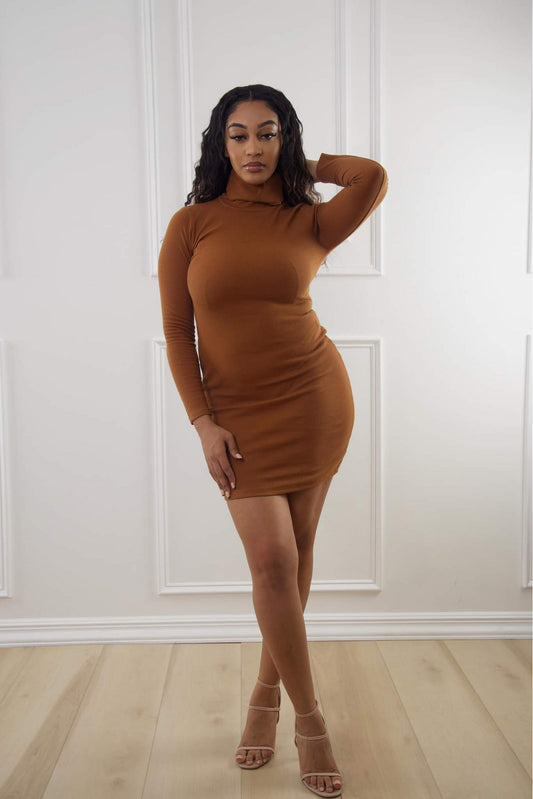 Turtle neck Dress